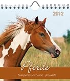 Pferde 2012
