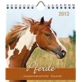 Pferde 2012