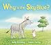 Why Is the Sky Blue?
