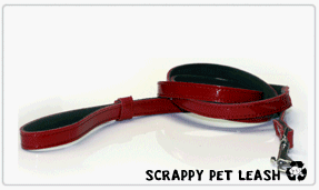 Childrens Toyshop  Sporting Goods : Scrappy Pets Leather Dog Leash (Eco-Friendly)