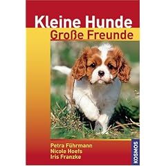 Kleine Hunde - Gro&szlig;e Freunde