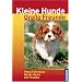 Kleine Hunde - Große Freunde