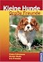 Kleine Hunde - Gro�e Freunde