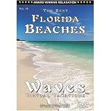 WAVES: Virtual Vacations - The Best Florida Beaches