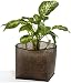 AquaPlanters Plant Containers, 7