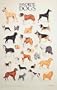 Favorite Dogs Poster