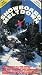 Snowboard