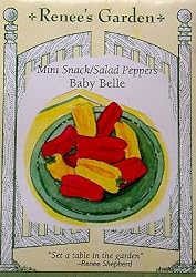 Peppers Mini Baby Belle Red and Yellow Seeds 14 Seeds
