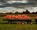 Pumpkins
