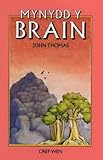 Mynydd y brain