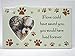 BANBERRY DESIGNS Pet Memorial Frame - Remembrance Saying f Love Could Have Saved You You Would Have Lived Forever Memorial Saying - Heart Shaped Photo Opening 3 ½” - Dog or Cat