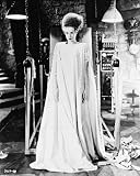 Elsa Lanchester 12x16 Matte B&W Photo (Bride of Frankenstein)