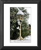 Framed Prints of Cat - black a white cat climbing up a bird feeding table in snow from Ardea Wildlife Pets