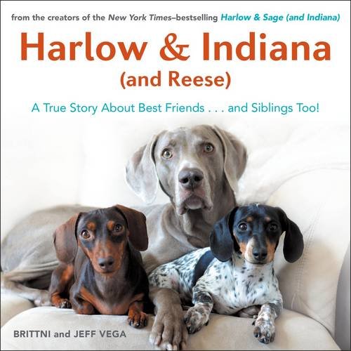 harlow  indiana and reese a true story about best friendsand siblings too