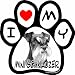 Imagine This 5-1/2-Inch by 5-1/2-Inch Car Magnet Picture Paw, Mini Schnauzer