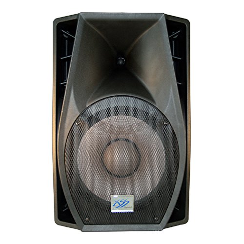 2000 watts speaker price