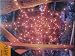 5 Foot Diameter Spider Web Lights