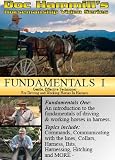 Doc Hammill's Fundamentals I Horsemanship Video Series 
