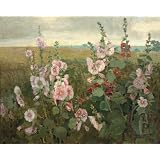 Unframed Hollyhocks by John Hafen - 24 X 28