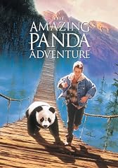 play video on Amazon Instant Video