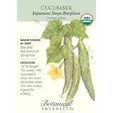 Cucumber Japanese Burpless Certified Organic Seed