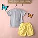 Baby Boys 2-Piece Outfit Set Tee and Shorts, Grey, (4T),110