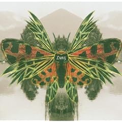 Lunz Reinterpretations