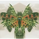 Lunz Reinterpretations