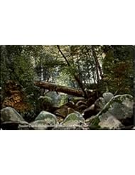 Entertainment Memorabilia: Boulder Creek, Bracken Brae Boulder Creek, California Original Vintage Postcard - M. Rieder Publisher