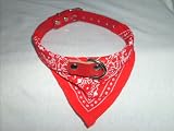 Hundehalsband mit Tuch in Rot