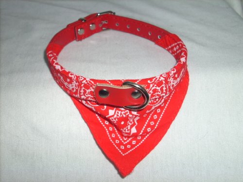 Hundehalsband mit Tuch in Rot
