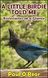 A Little Birdie Told Me: Ecclesiastes at a Glance