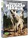 Meerkat Manor: Family Ties