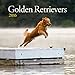 Turner Golden Retrievers 2016 Wall Calendar (8940022)