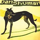 Dan Shuman