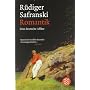 Romantik: Eine deutsche Aff�re von R�diger Safranski
