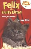 Felix The Fluffy Kitten (Kitten Friends)