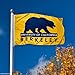 Cal Berkeley Bears UC University Large College Flag