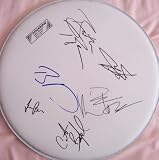 Dave Matthews Band autographed drumhead