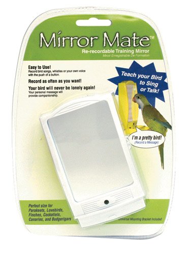 Mirror Mate - Assorted Colors