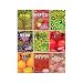 Gummy with Sampler Party Pack (12 Bags)