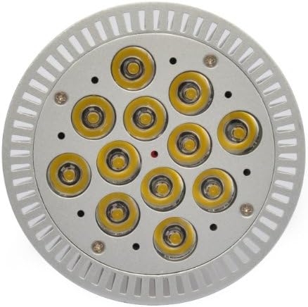 LEDwholesalers Dimmable PAR38 14 Watt LED Spot Light, Replacement for 75 Watt Recess Light or Track Lighting, Warm White 1316WW