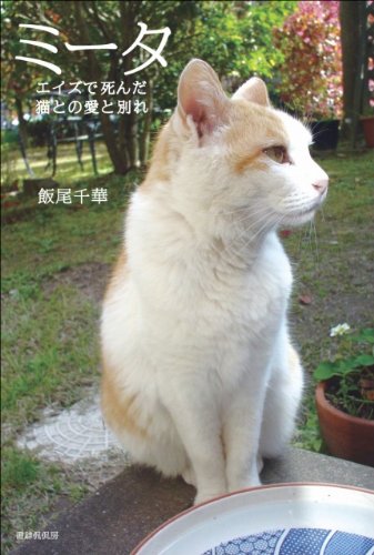 ミータ―エイズで死んだ猫との愛と別れ