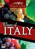 Vineyards of Italy