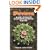 Peyote and Other Psychoactive Cacti