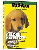 GOLDEN RETRIEVER DVD! + Dog & Puppy Training Bonus