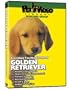 GOLDEN RETRIEVER DVD! + Dog & Puppy Training Bonus