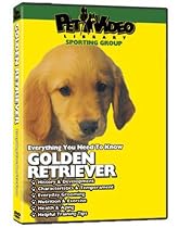 GOLDEN RETRIEVER DVD! + Dog & Puppy Training Bonus