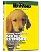 GOLDEN RETRIEVER DVD! + Dog & Puppy Training Bonus