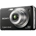 Sony Cyber-shot DSC-W230 12 MP Digital Camera with 4x Optical Zoom and Super Steady Shot Image Stabilization (Black)